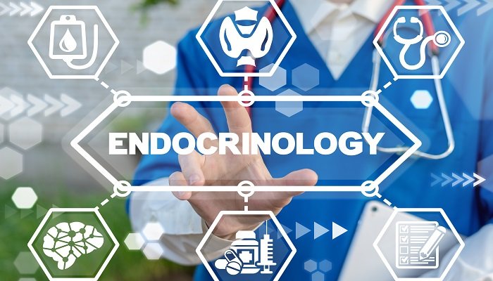 Endocrinology and Metabolism Diseases - specialist hospital care