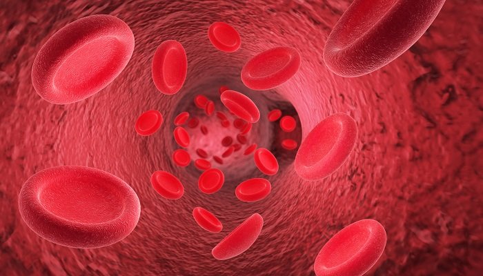 Hematology - specialist hospital care
