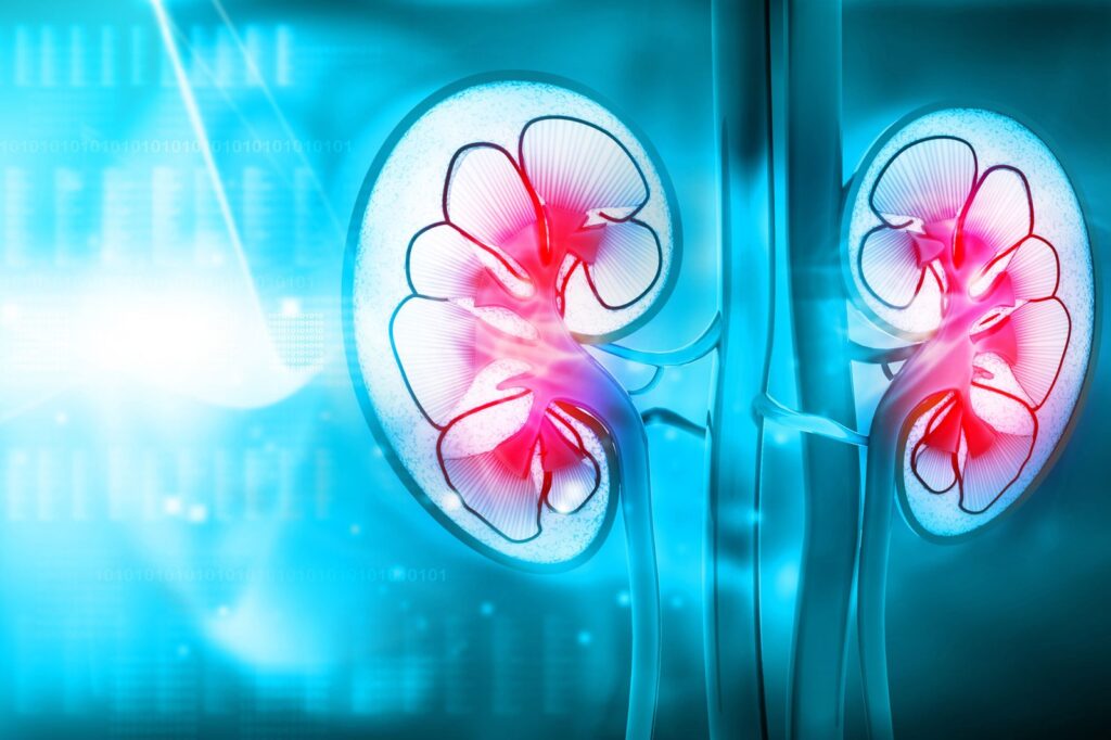 Kidney Transplant Clinic - specialist hospital care