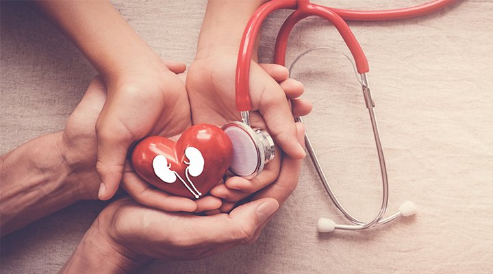 Nephrology - specialist hospital care