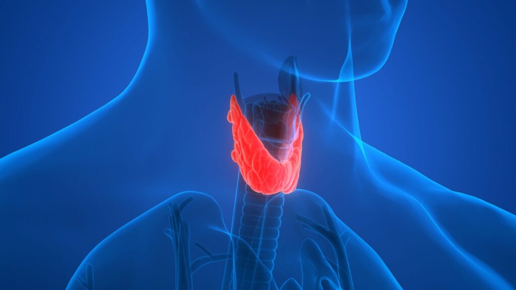 Parathyroid Transplant Clinic - specialist hospital care