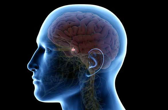 Pituitary Clinic - specialist hospital care