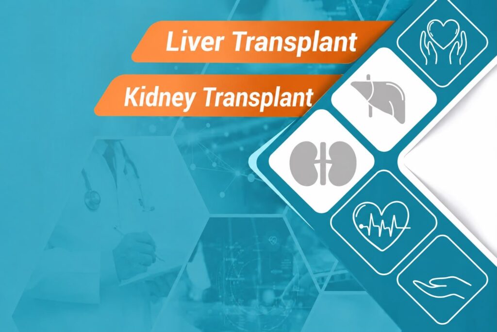 Liver and kidney transplantation illustration