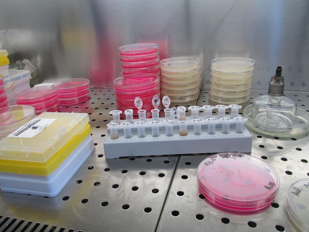 Infectious Diseases and Microbiology - specialist hospital care