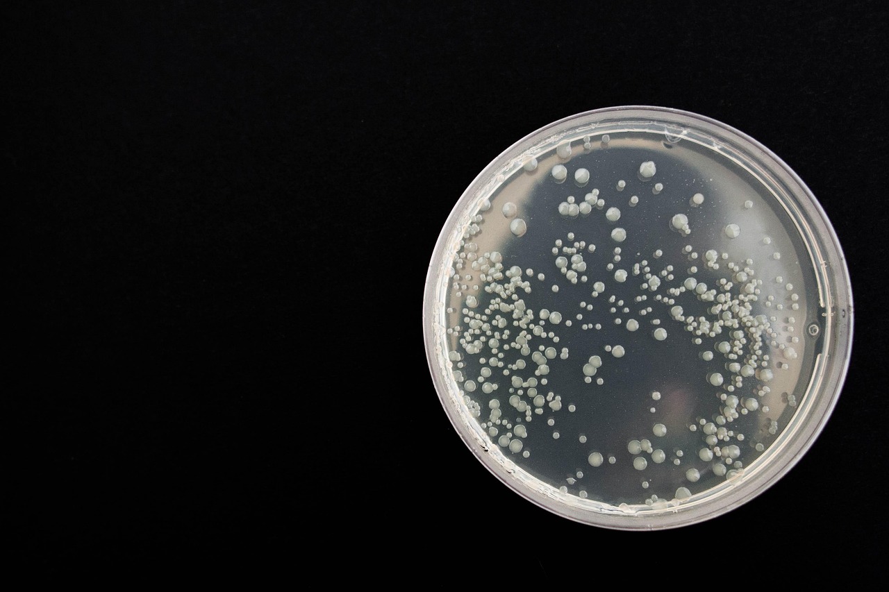 Medical Microbiology - specialist hospital care